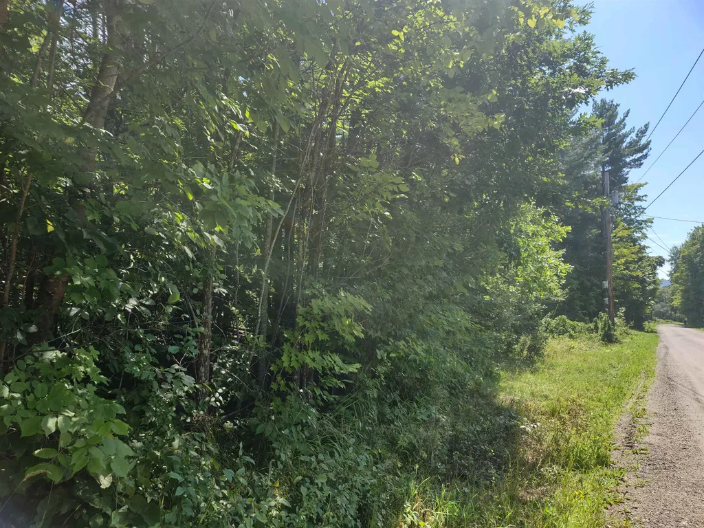 350 Woodward Road Haverhill NH 03774-4681