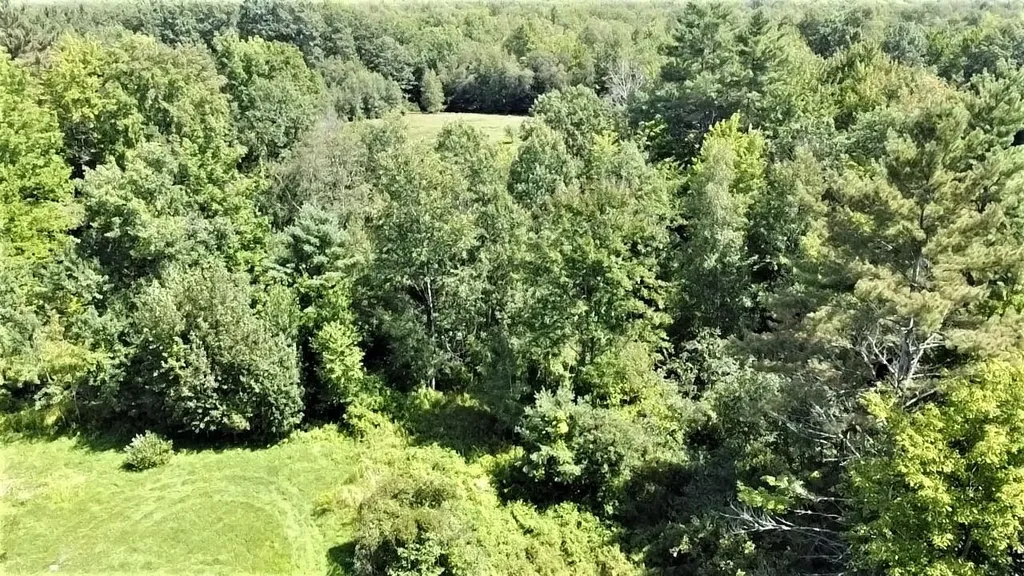 350 Woodward Road Haverhill NH 03774-4681