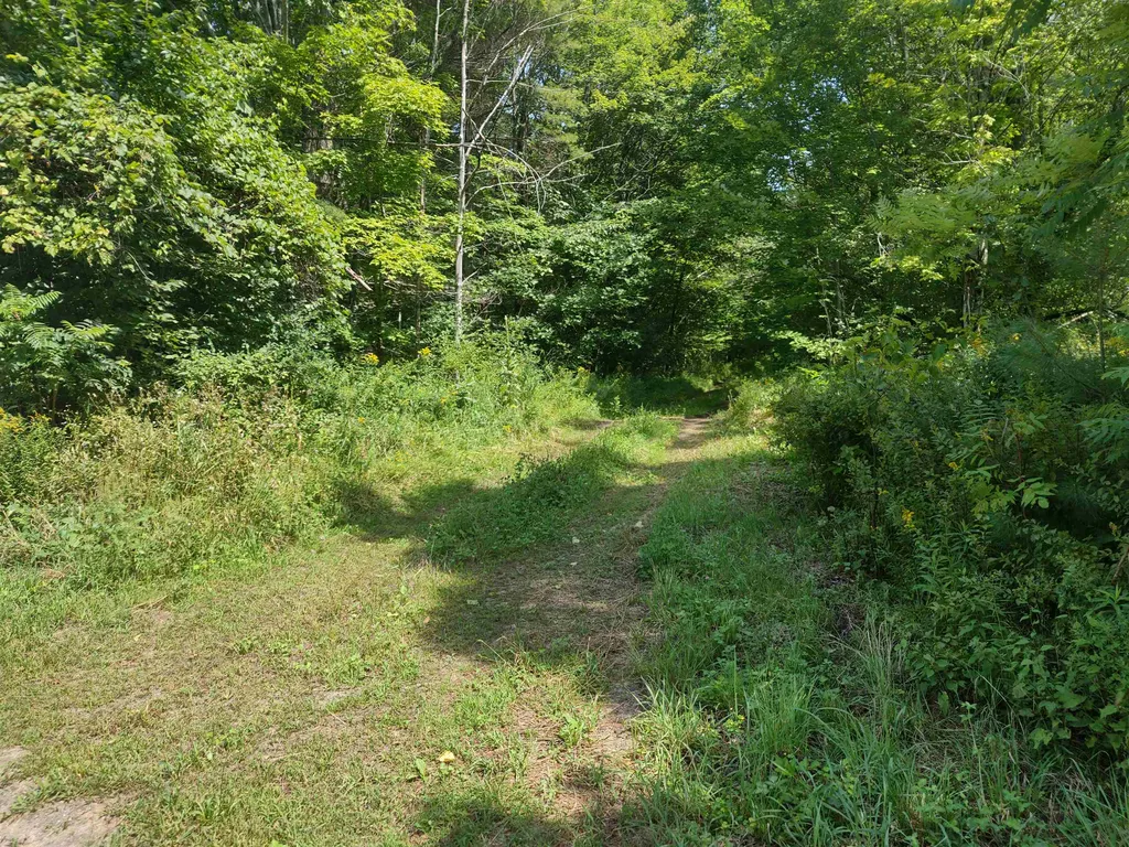 350 Woodward Road Haverhill NH 03774-4681