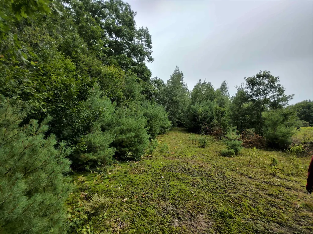 350 Woodward Road Haverhill NH 03774-4681