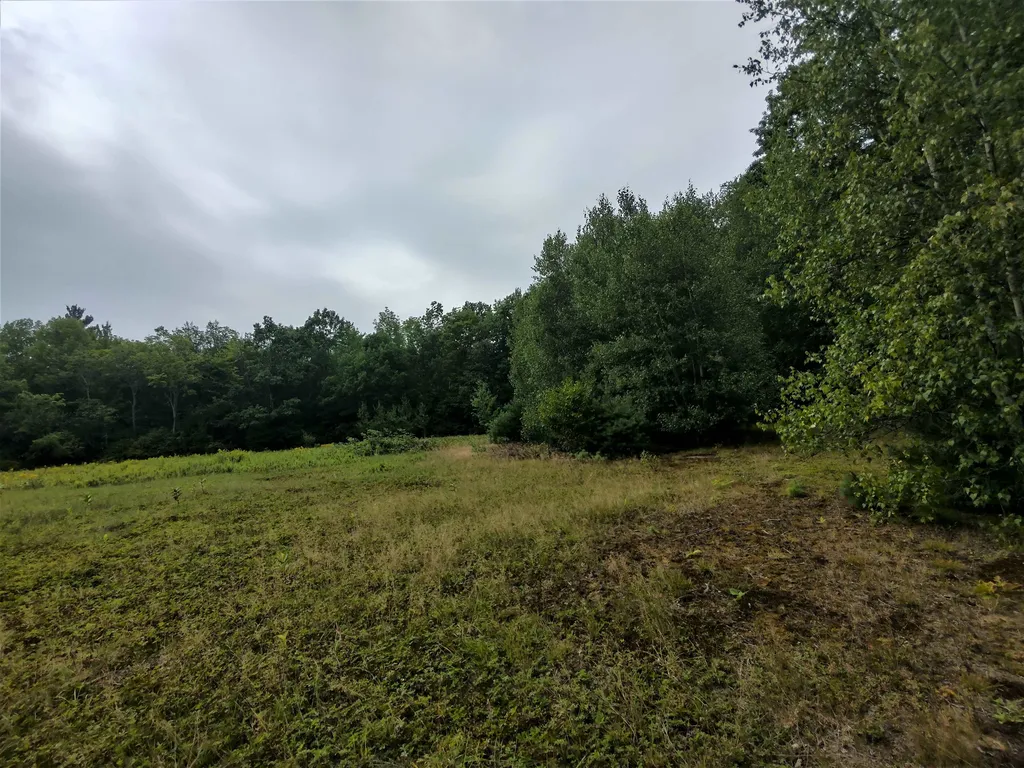 350 Woodward Road Haverhill NH 03774-4681