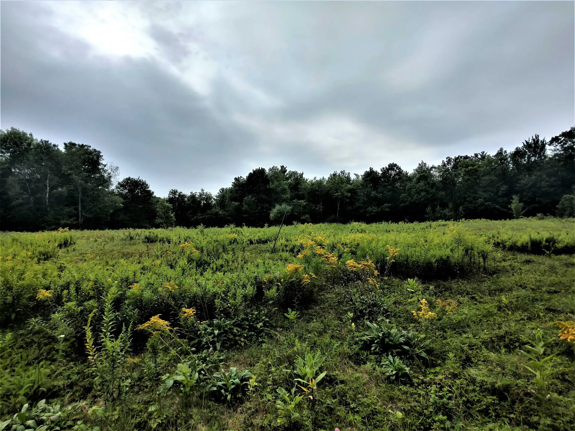 350 Woodward Road Haverhill NH 03774-4681