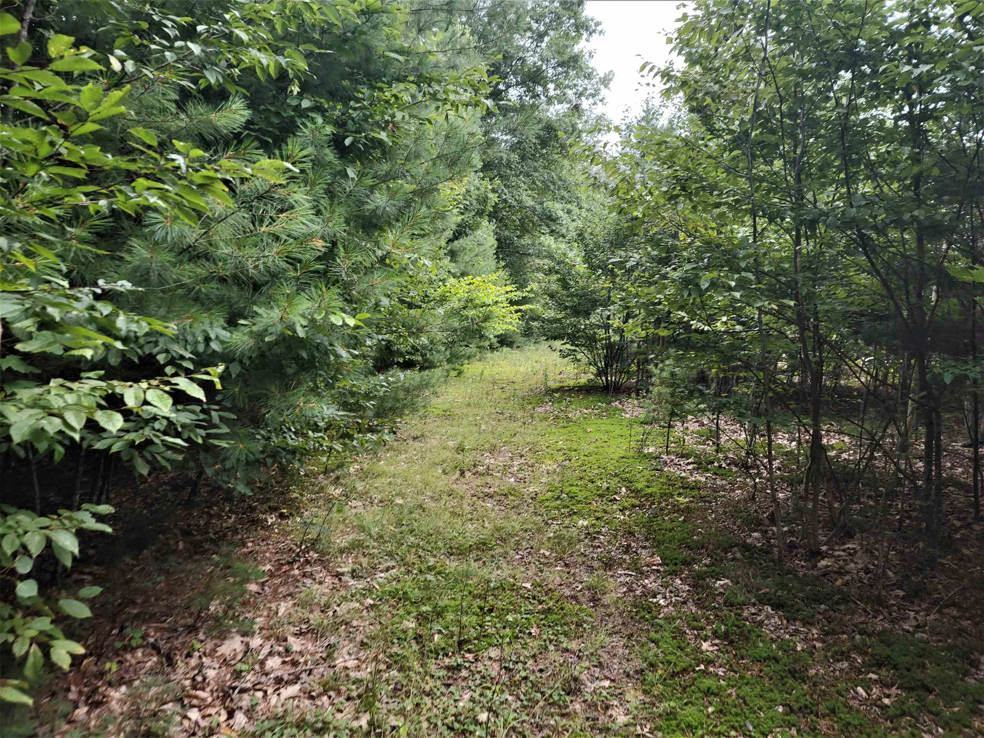 350 Woodward Road Haverhill NH 03774-4681
