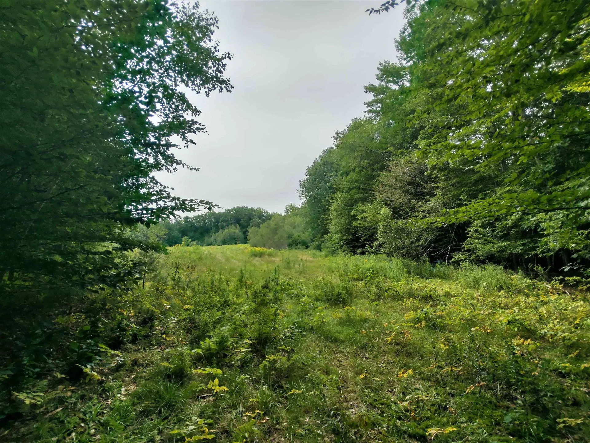 350 Woodward Road Haverhill NH 03774-4681