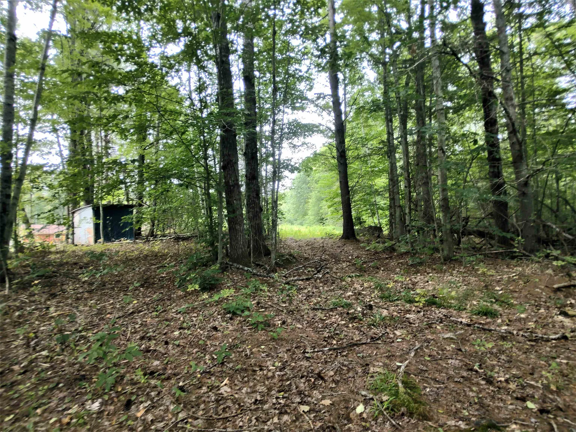 350 Woodward Road Haverhill NH 03774-4681