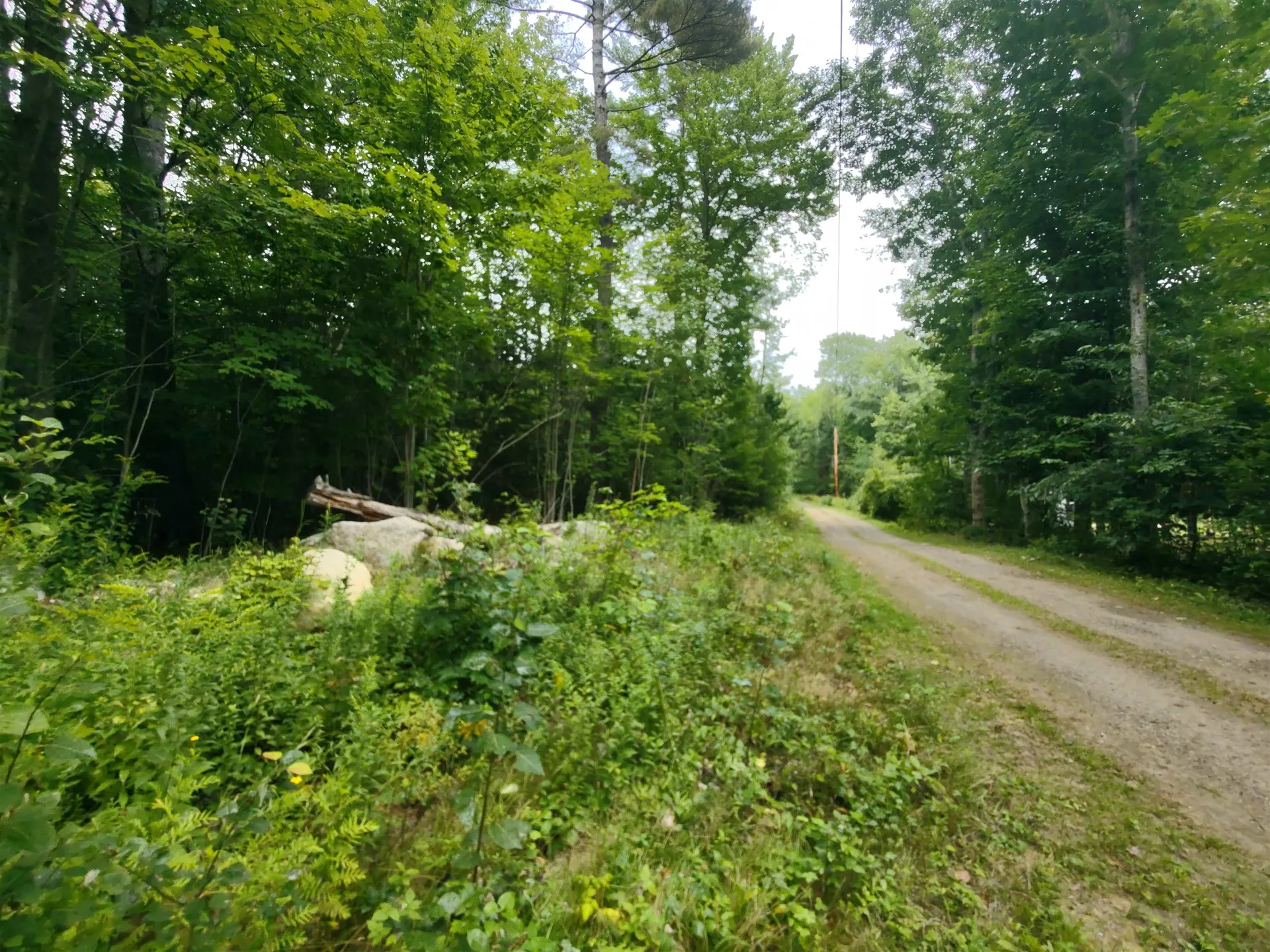 350 Woodward Road Haverhill NH 03774-4681