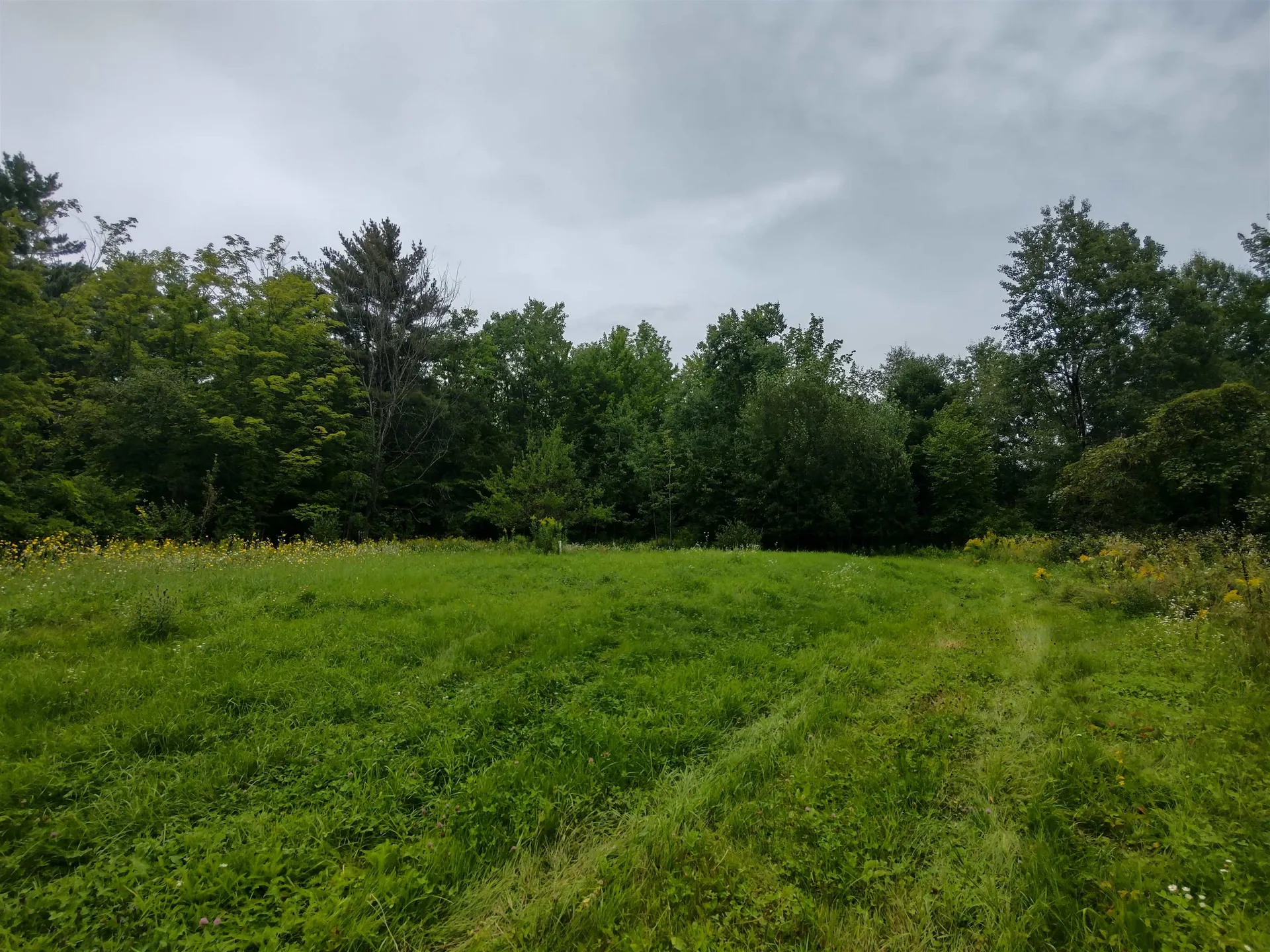 350 Woodward Road Haverhill NH 03774-4681