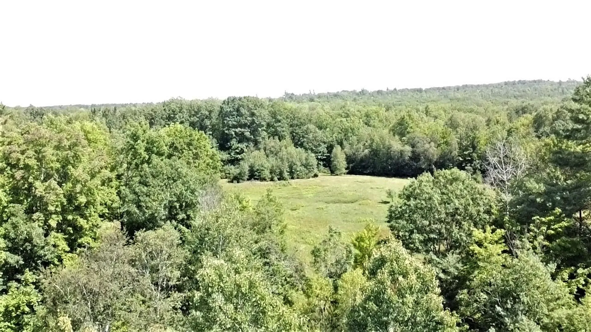350 Woodward Road Haverhill NH 03774-4681