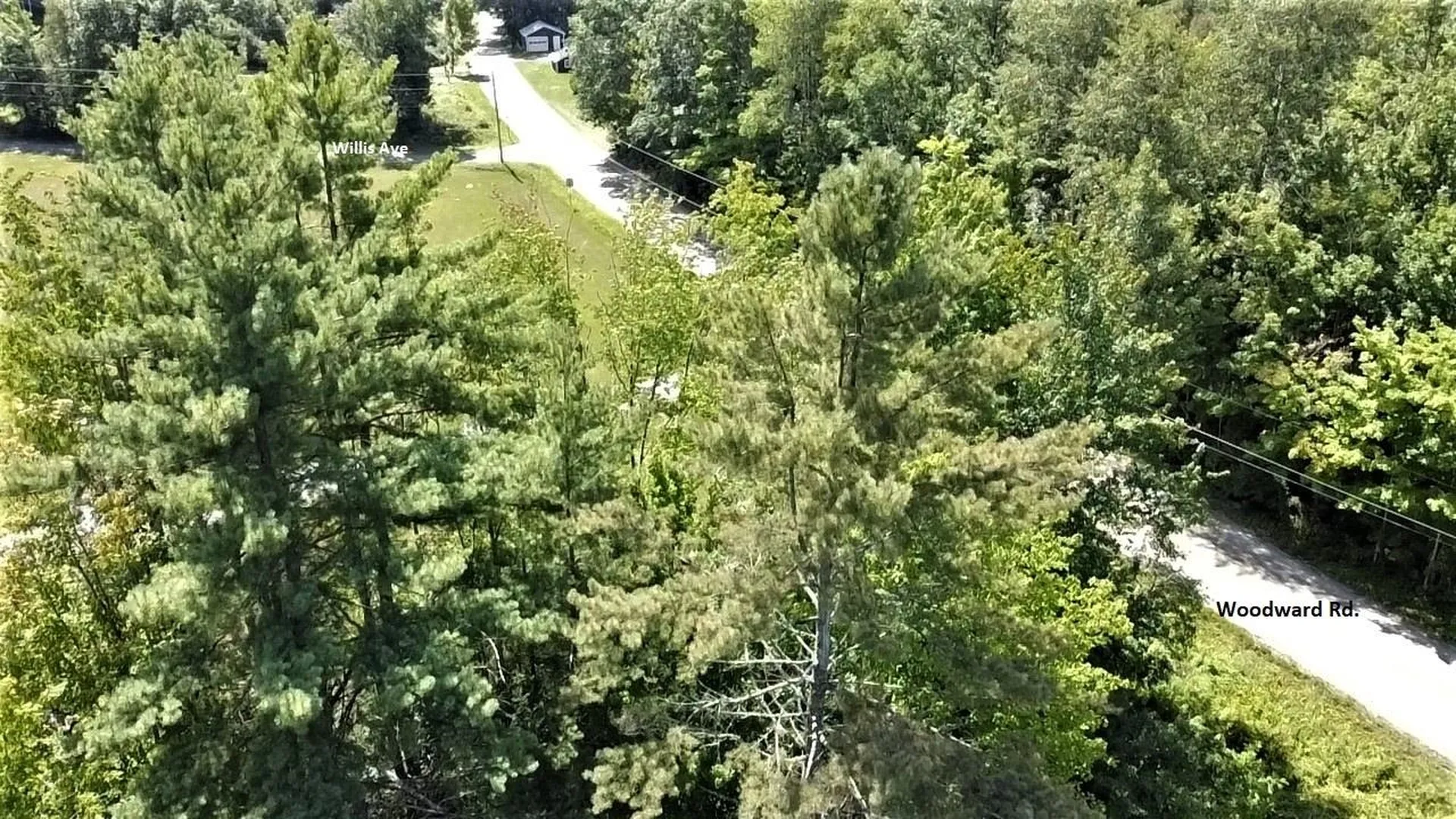 350 Woodward Road Haverhill NH 03774-4681