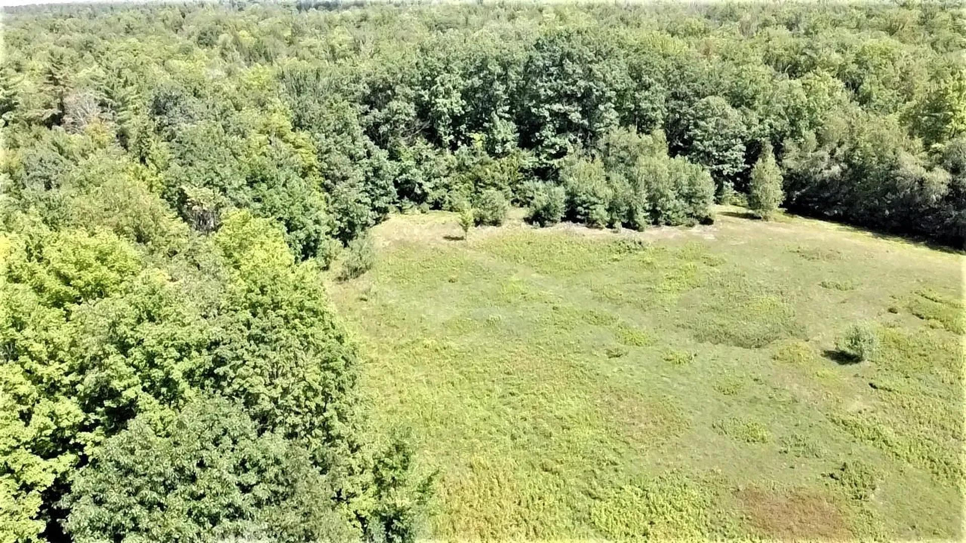 350 Woodward Road Haverhill NH 03774-4681
