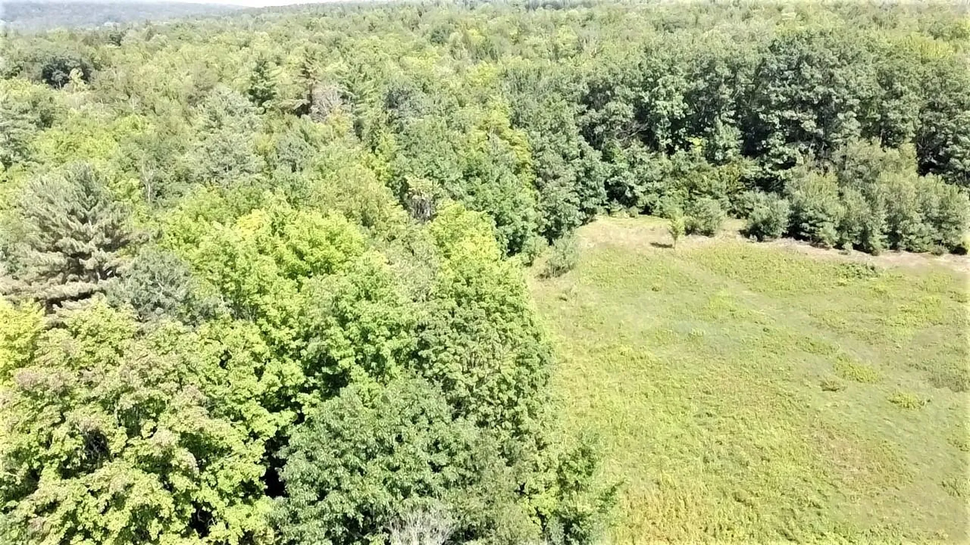 350 Woodward Road Haverhill NH 03774-4681