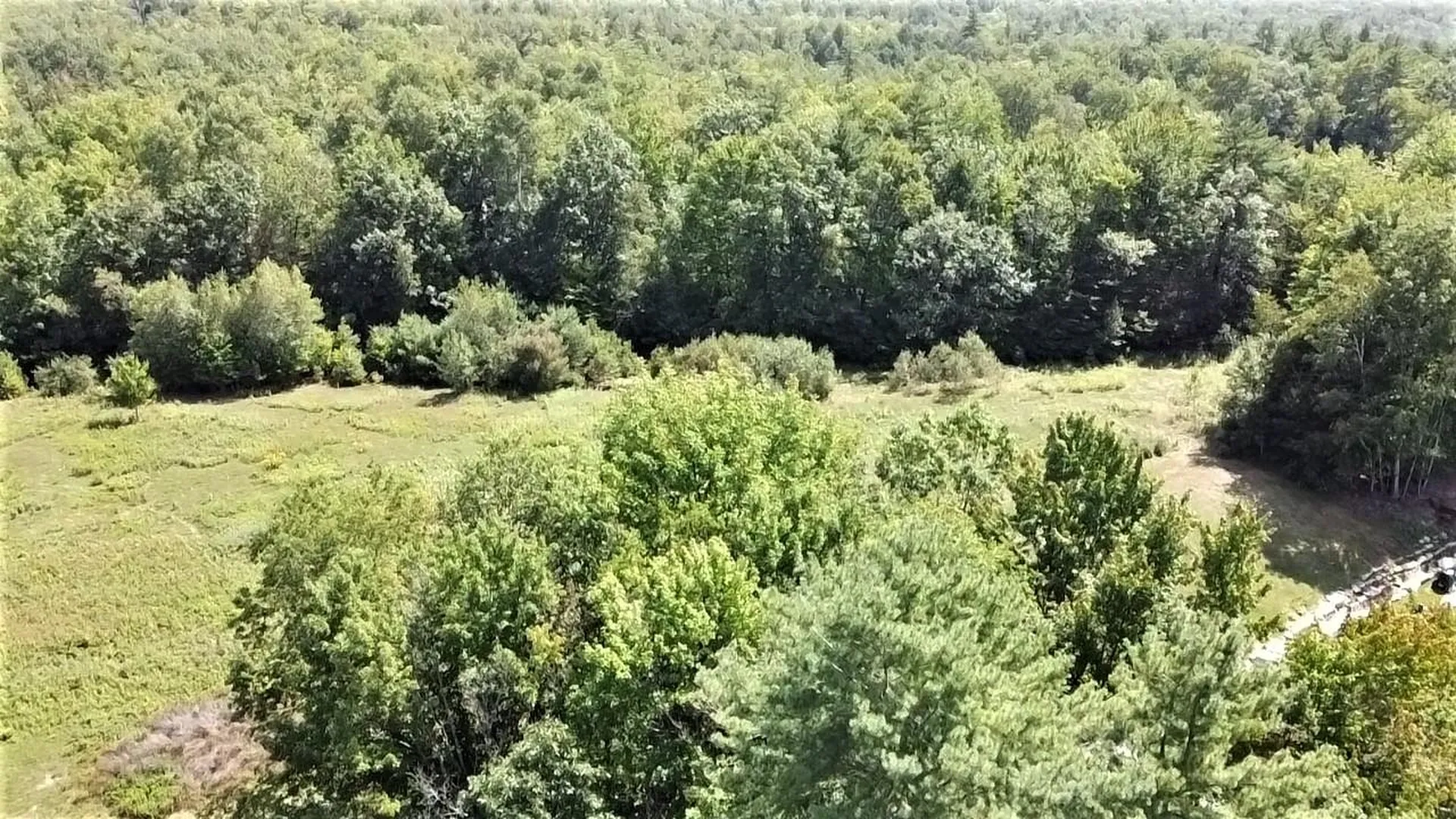 350 Woodward Road Haverhill NH 03774-4681