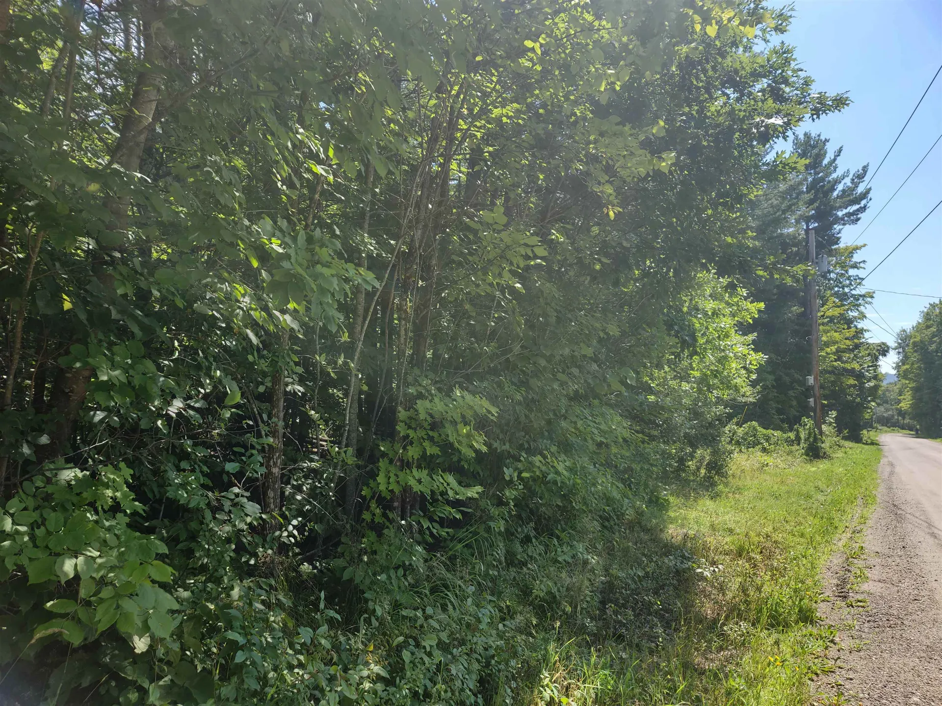 350 Woodward Road Haverhill NH 03774-4681