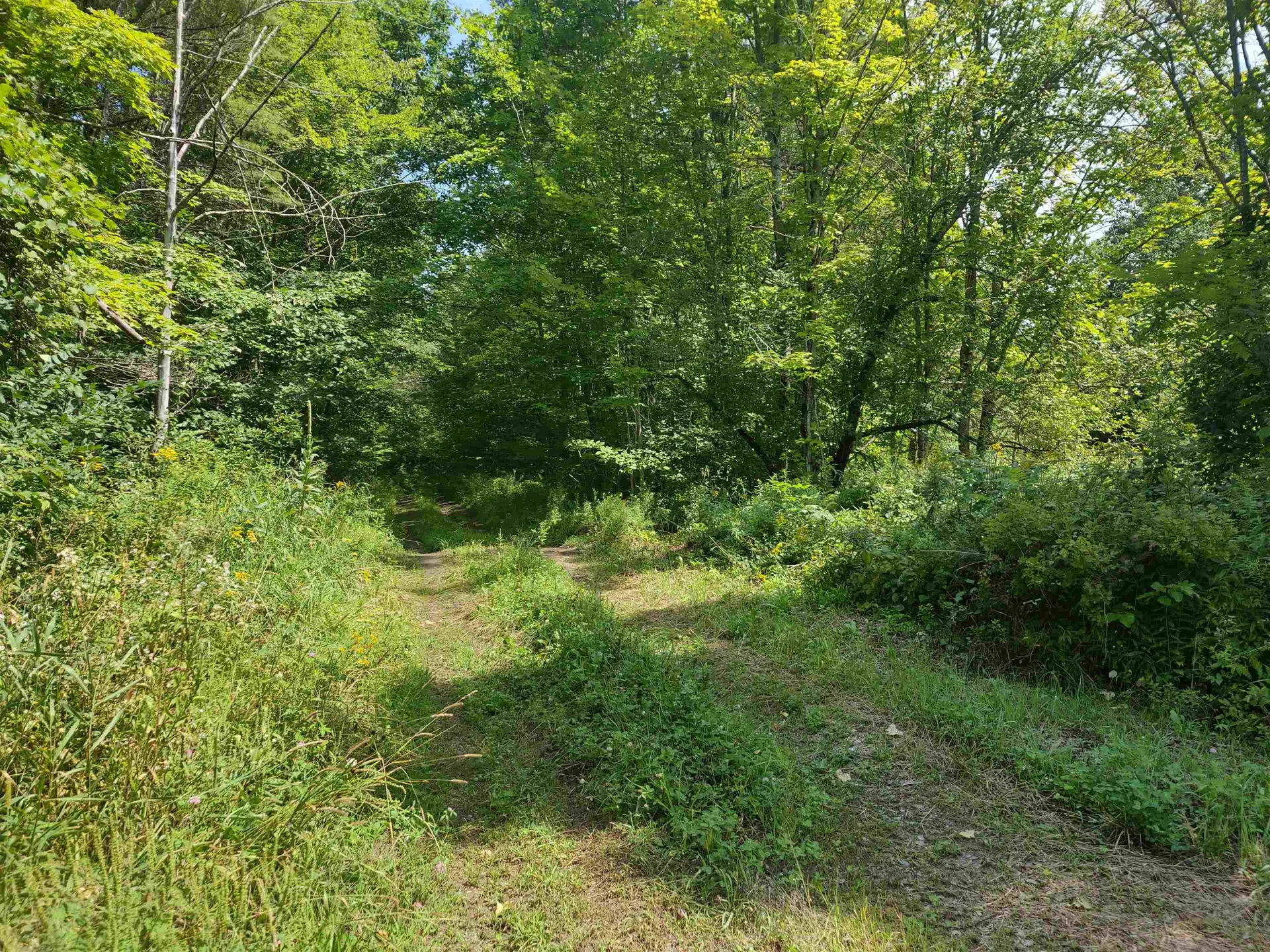 350 Woodward Road Haverhill NH 03774-4681