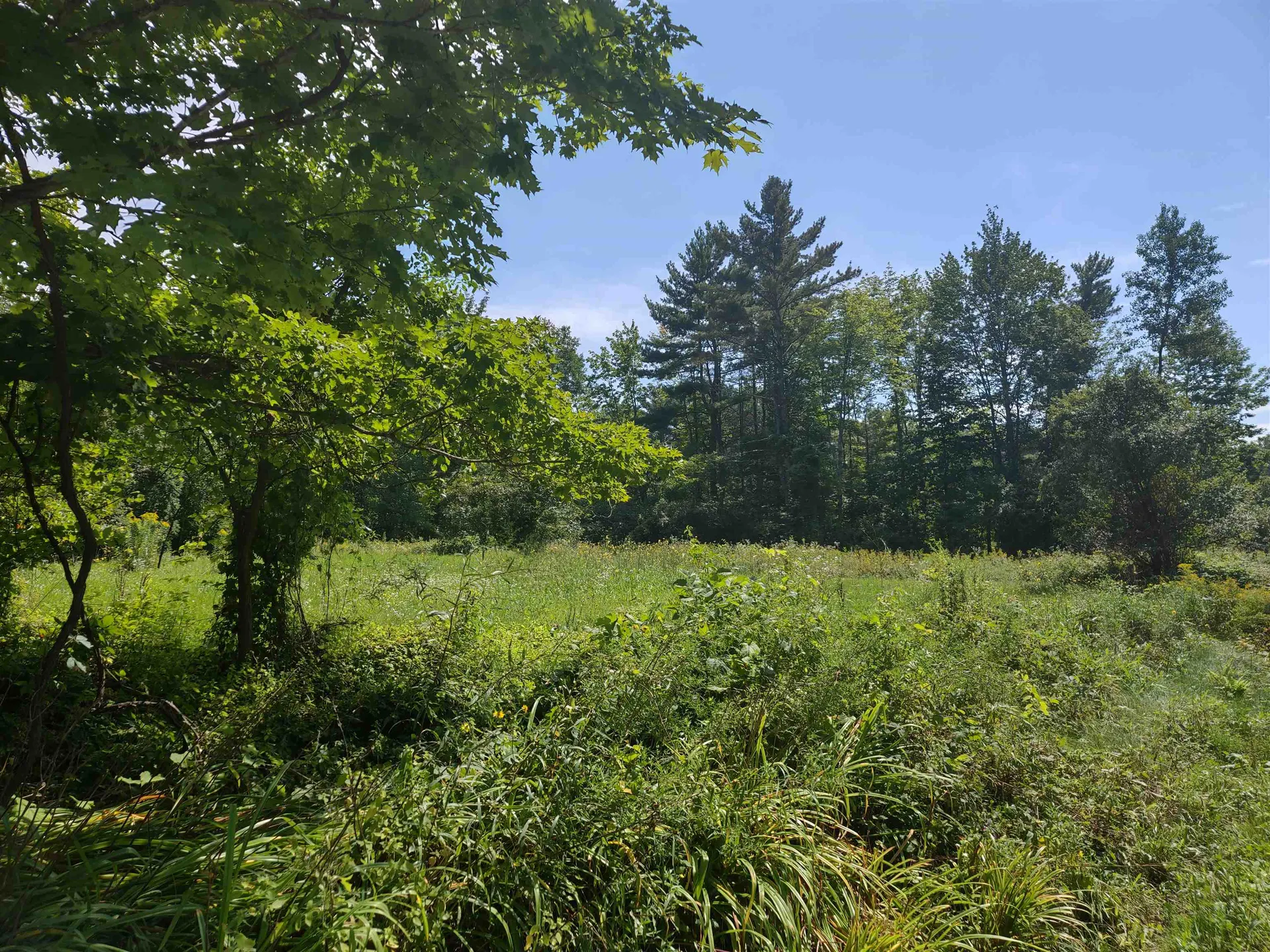 350 Woodward Road Haverhill NH 03774-4681