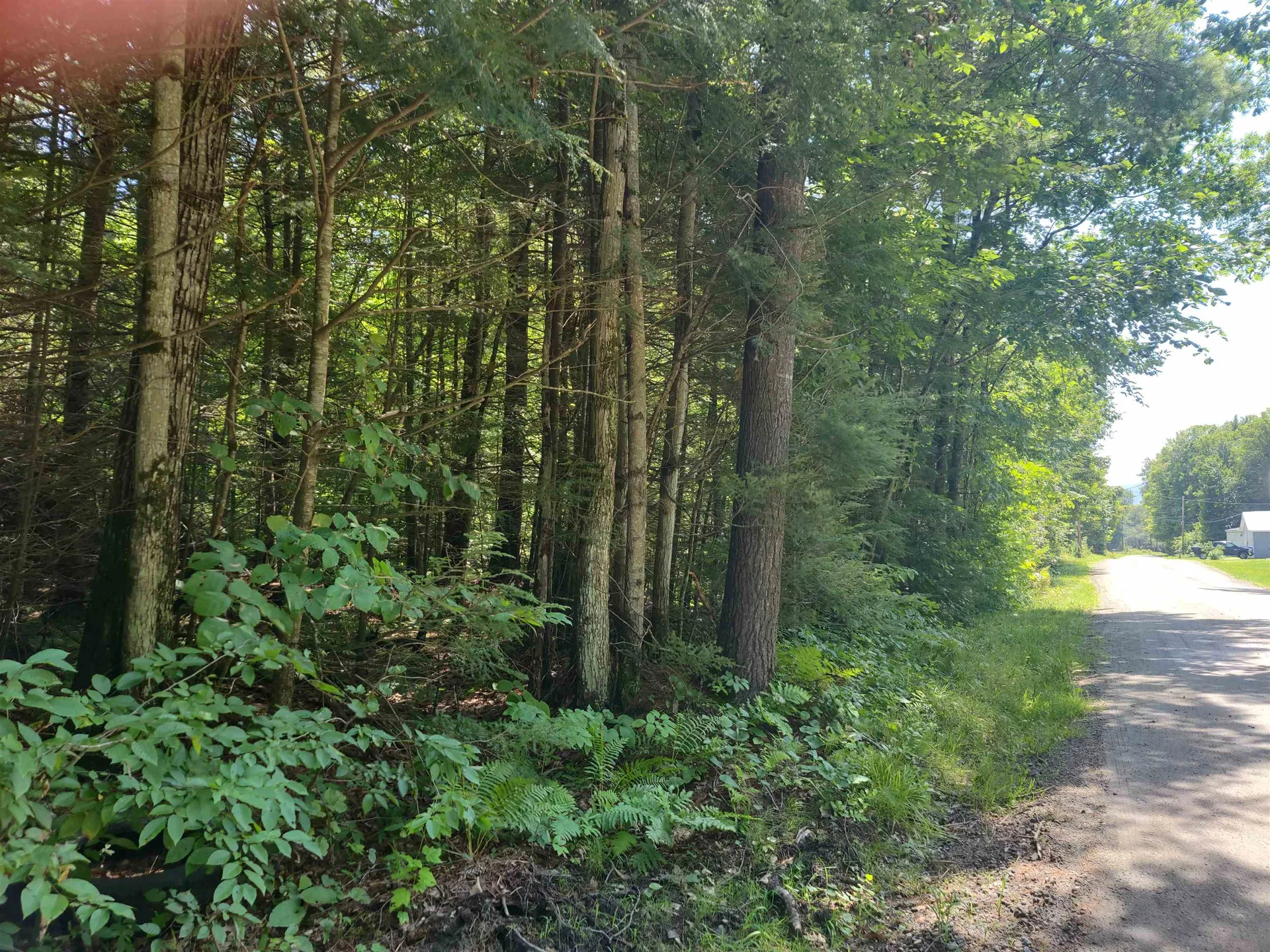 350 Woodward Road Haverhill NH 03774-4681