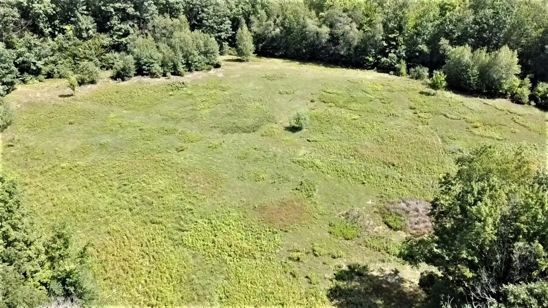 350 Woodward Road Haverhill NH 03774-4681
