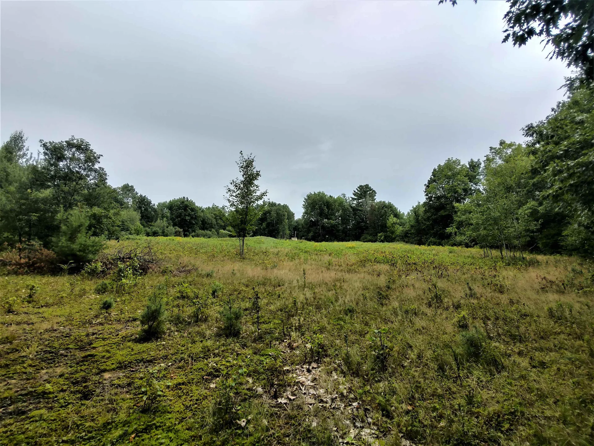 350 Woodward Road Haverhill NH 03774-4681