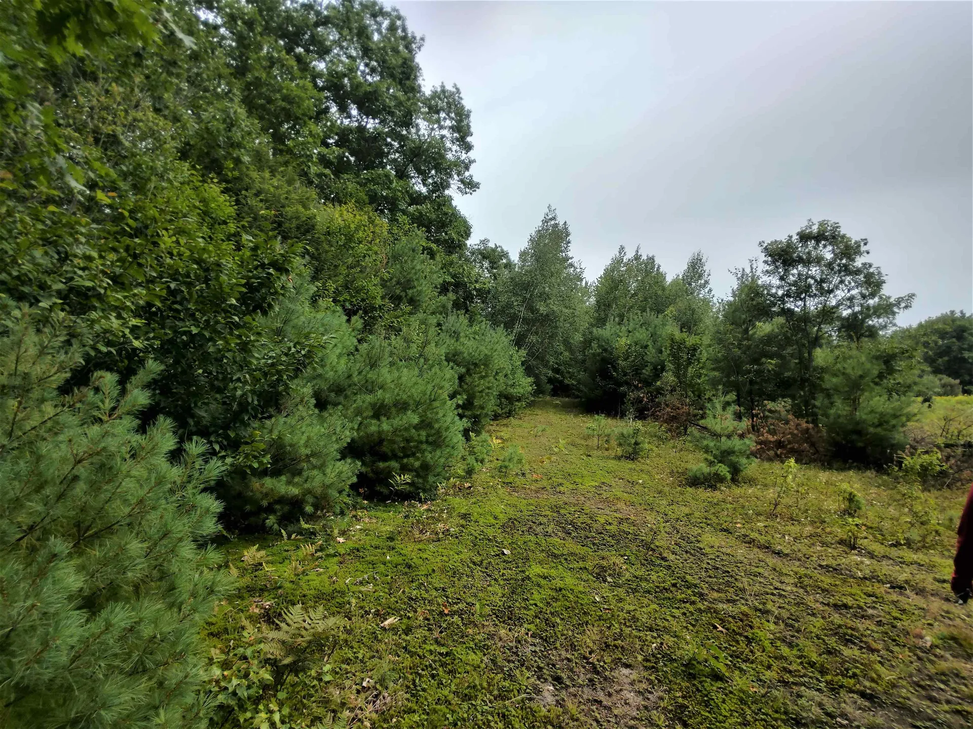 350 Woodward Road Haverhill NH 03774-4681
