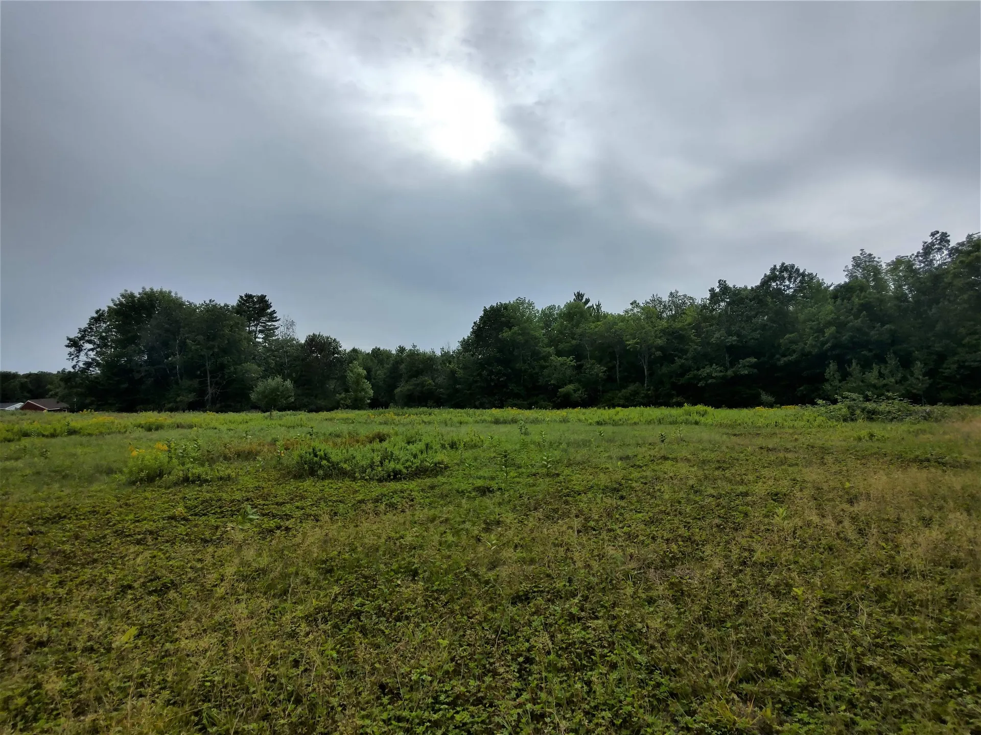 350 Woodward Road Haverhill NH 03774-4681