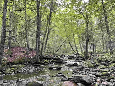 599 Sheffield Square Road Sheffield VT 05866