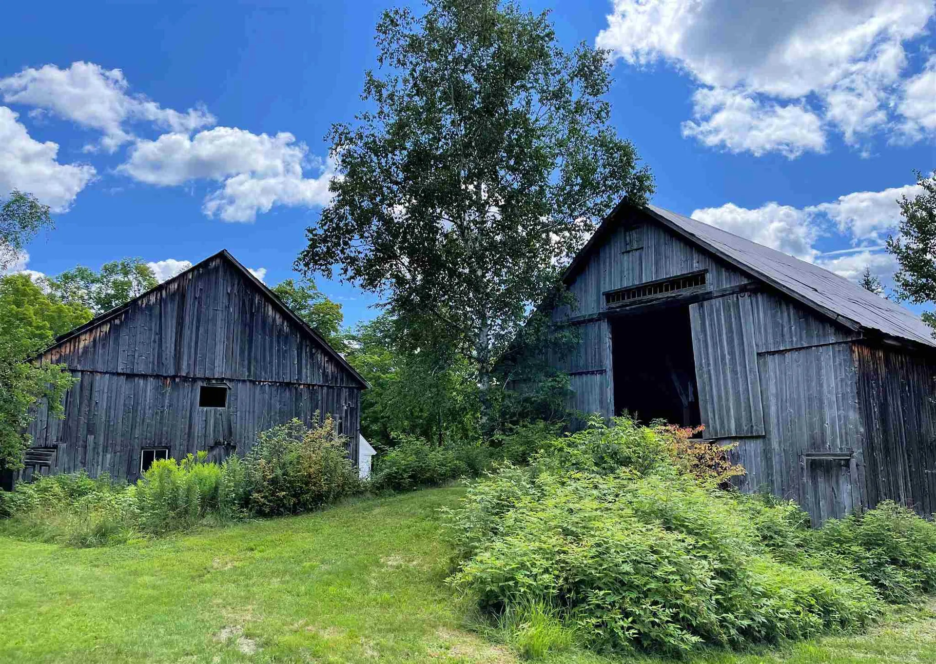 1721 Bayley Hazen Road Peacham VT 05862