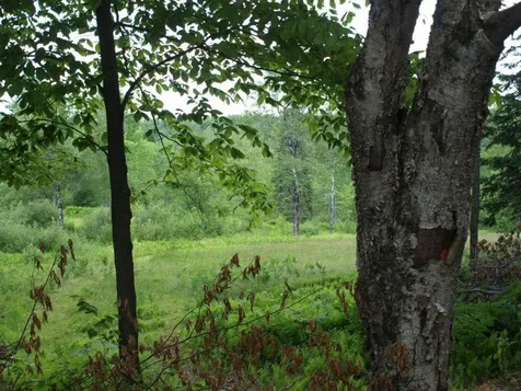 00 Garfield Road Hyde Park VT 05652
