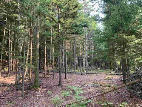 00 Garfield Road Hyde Park VT 05652