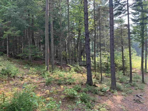 00 Garfield Road Hyde Park VT 05652