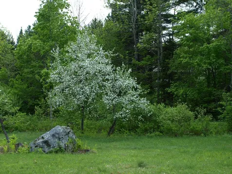 00 Garfield Road Hyde Park VT 05652