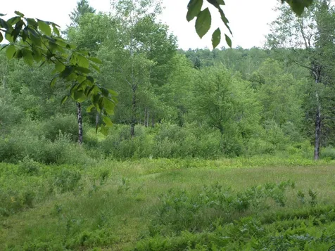 00 Garfield Road Hyde Park VT 05652