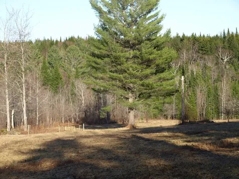 00 Garfield Road Hyde Park VT 05652