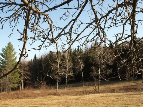 00 Garfield Road Hyde Park VT 05652