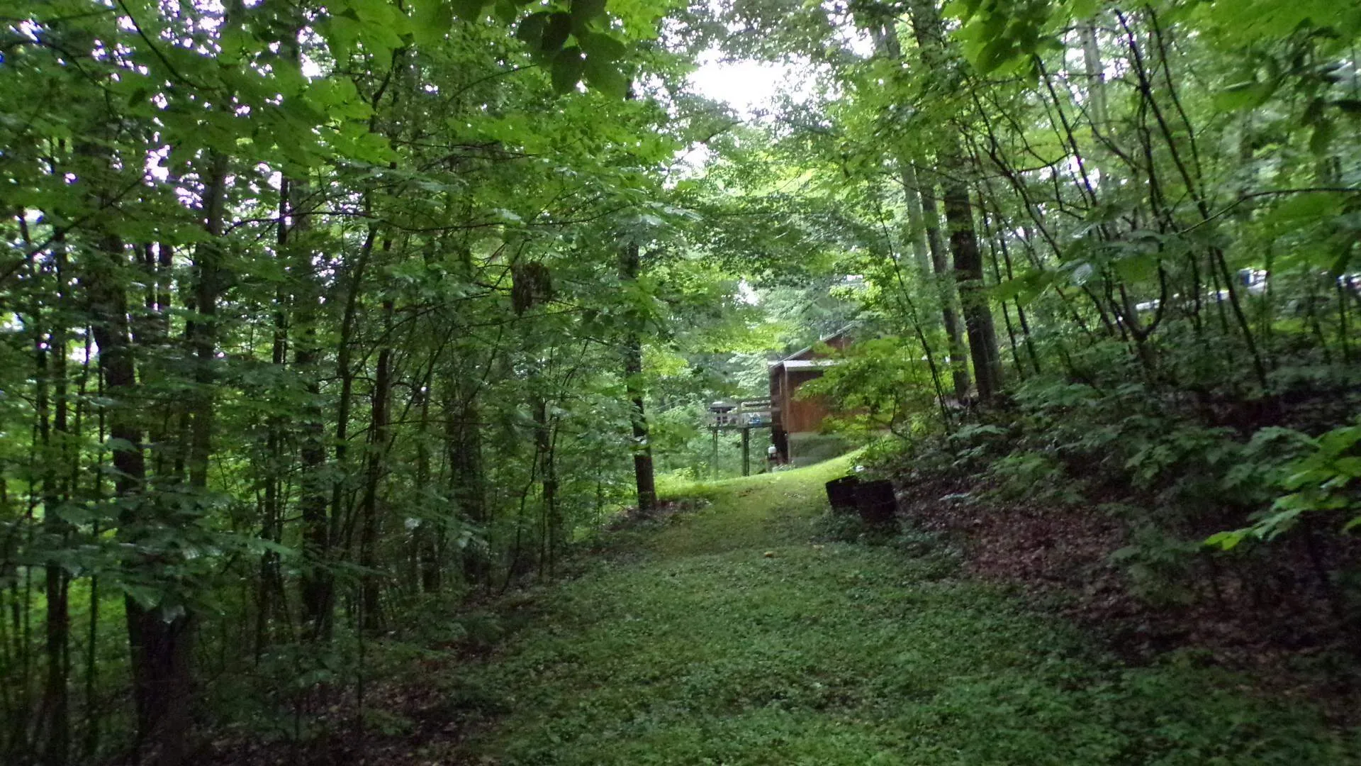 361 Sweet Road Pownal VT 05261
