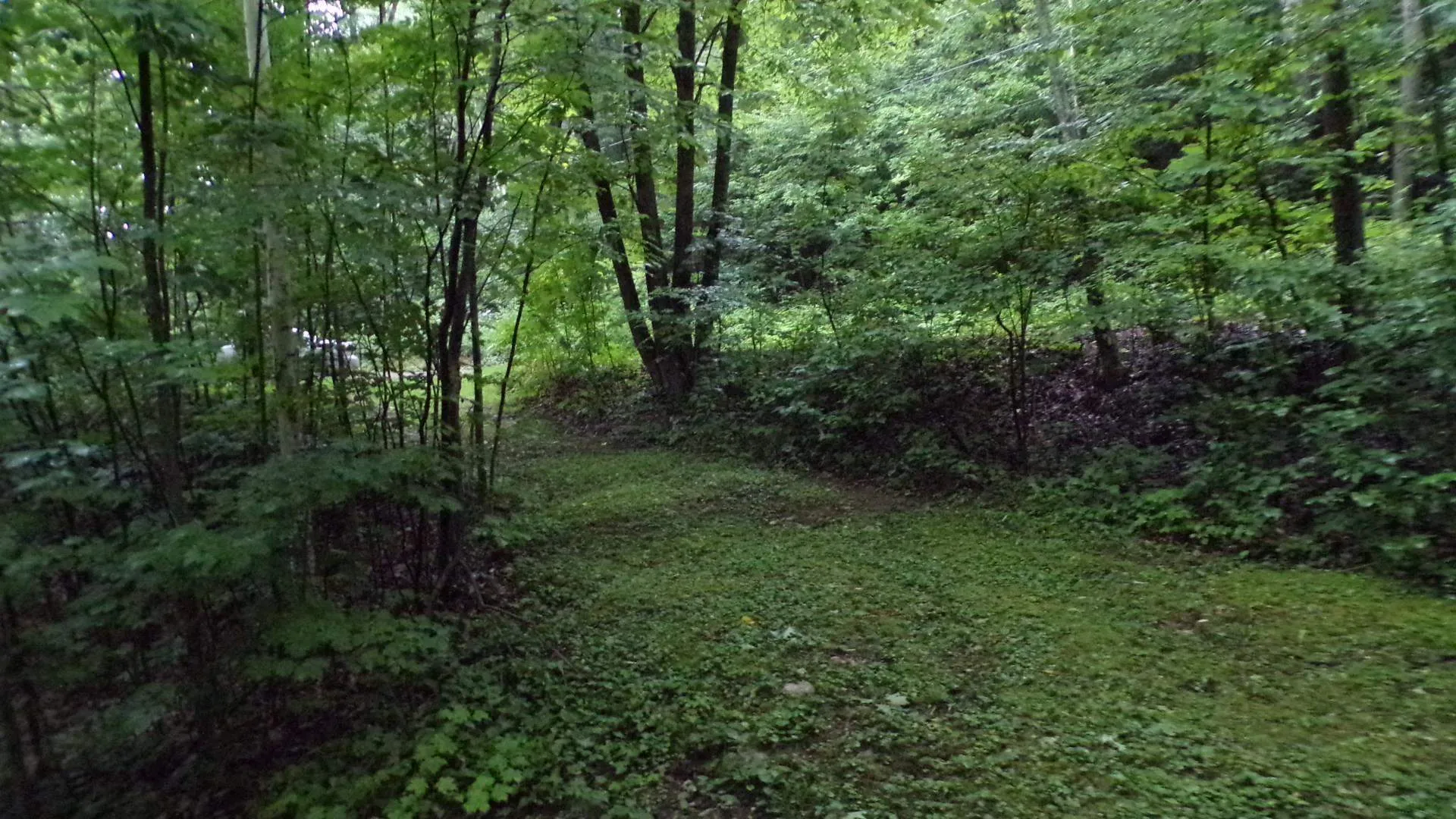361 Sweet Road Pownal VT 05261