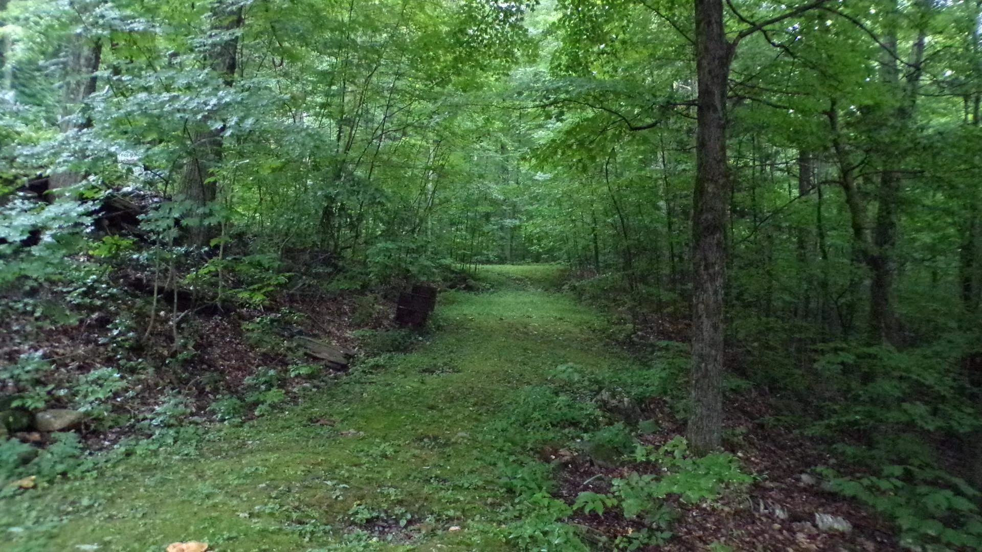 361 Sweet Road Pownal VT 05261