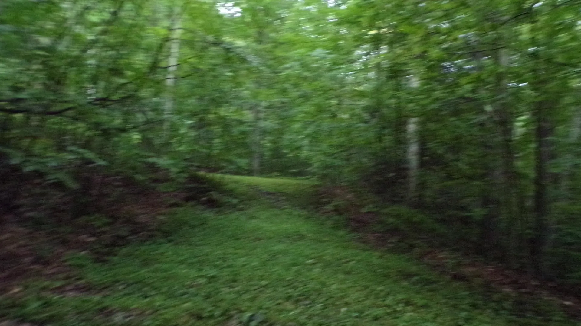 361 Sweet Road Pownal VT 05261