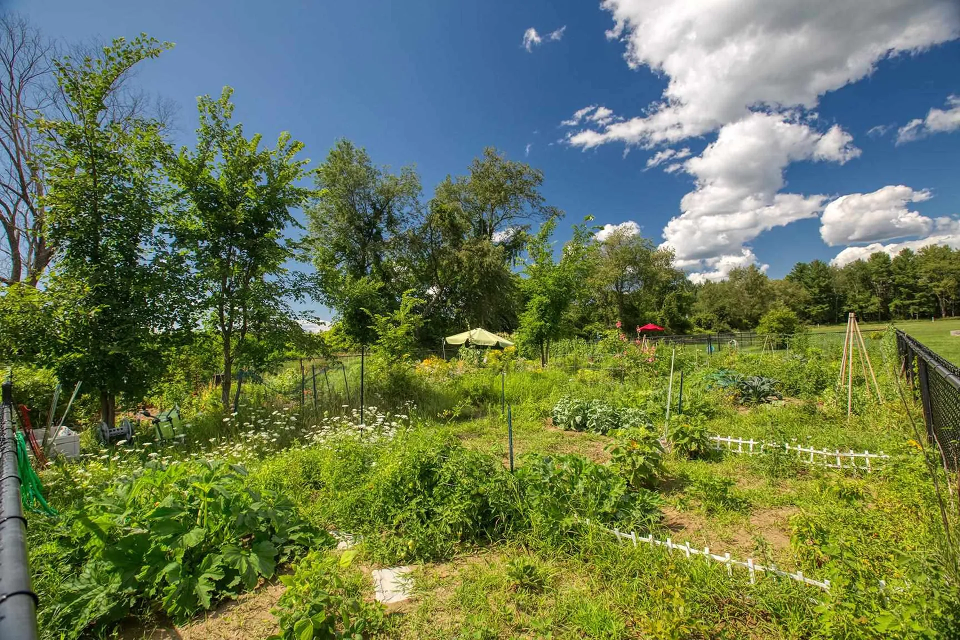 15 East Road Fairfax VT 05454