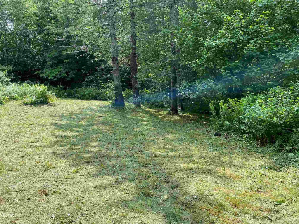 700 Young Farm Road Extension Peacham, VT Real Estate MLS 4875076