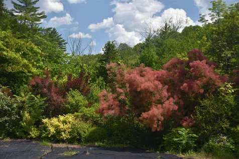483 East Barre Road Barre Town VT 05641-9000