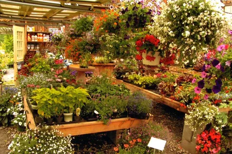 483 East Barre Road Barre Town VT 05641-9000