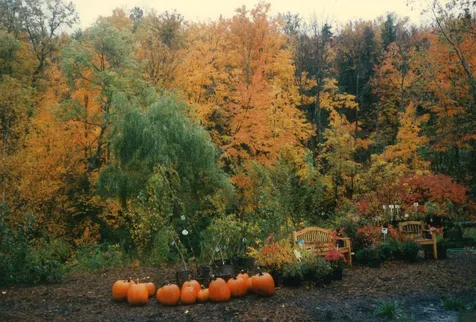 483 East Barre Road Barre Town VT 05641-9000