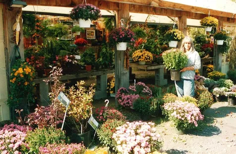 483 East Barre Road Barre Town VT 05641-9000
