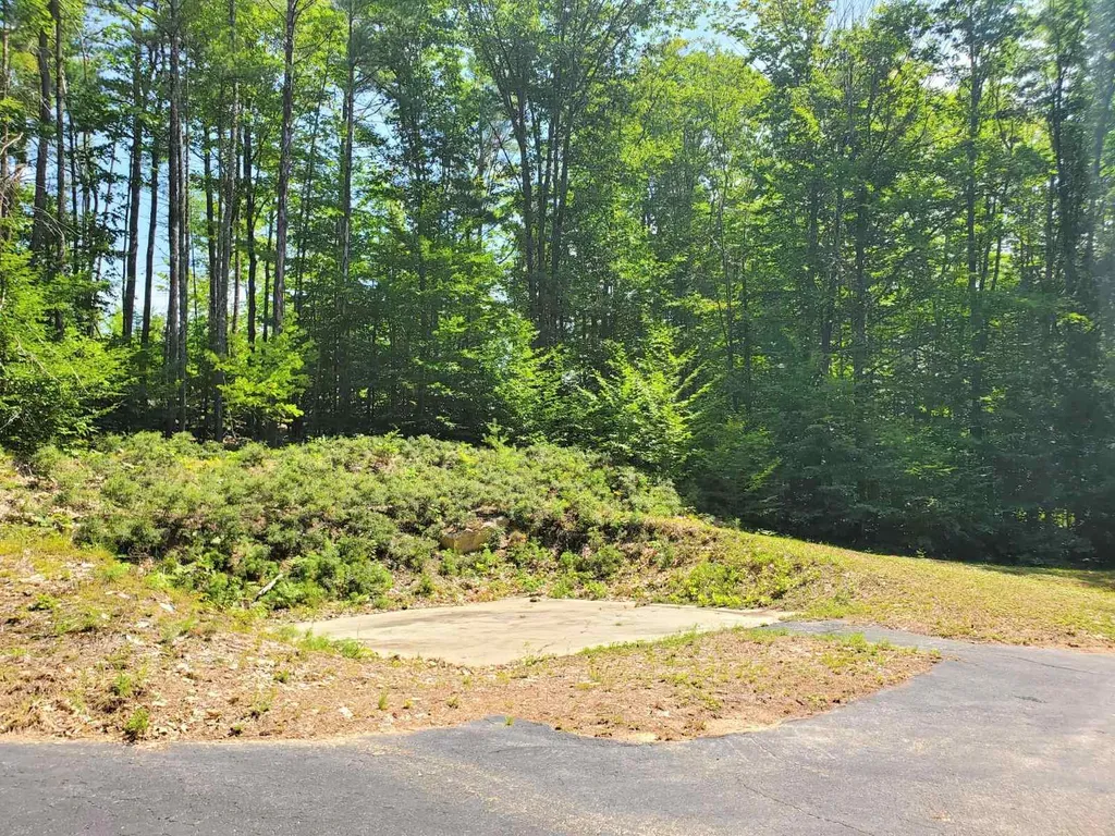 75 Champion Hill Road Effingham NH 03882