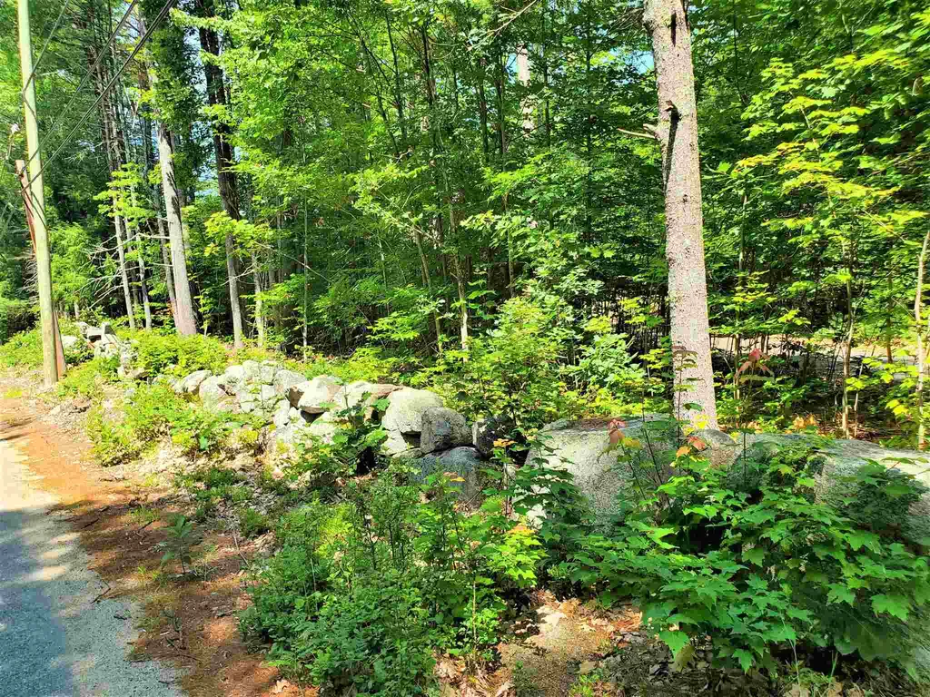 75 Champion Hill Road Effingham NH 03882