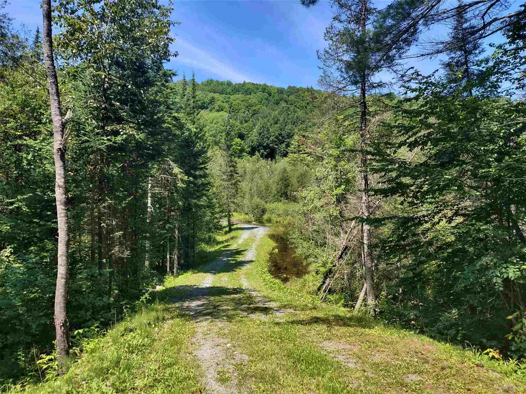7813 Scotch Hollow Road Newbury VT 05051