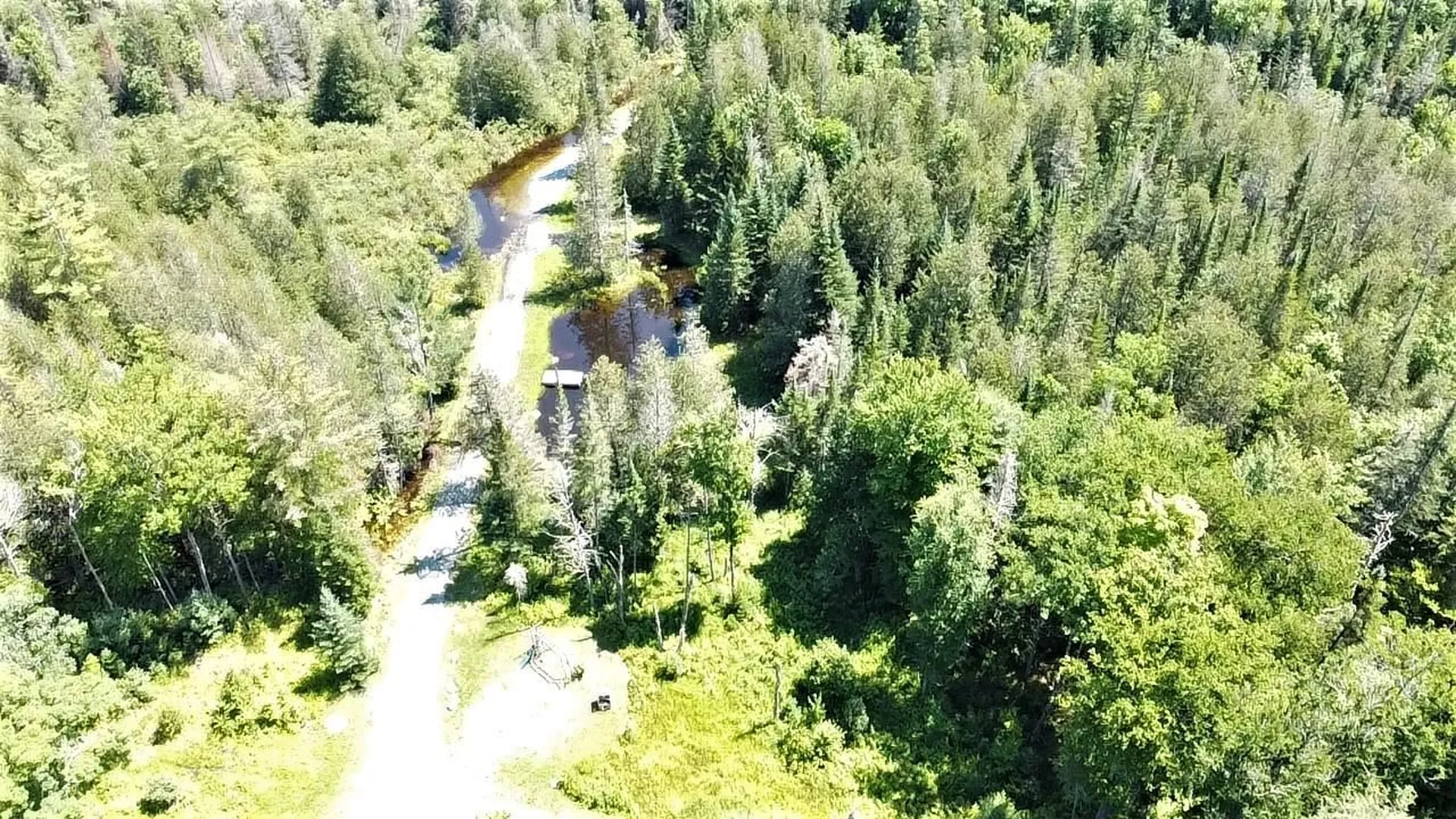 7813 Scotch Hollow Road Newbury VT 05051