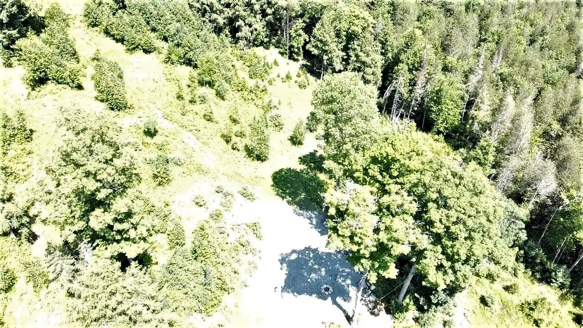 7813 Scotch Hollow Road Newbury VT 05051