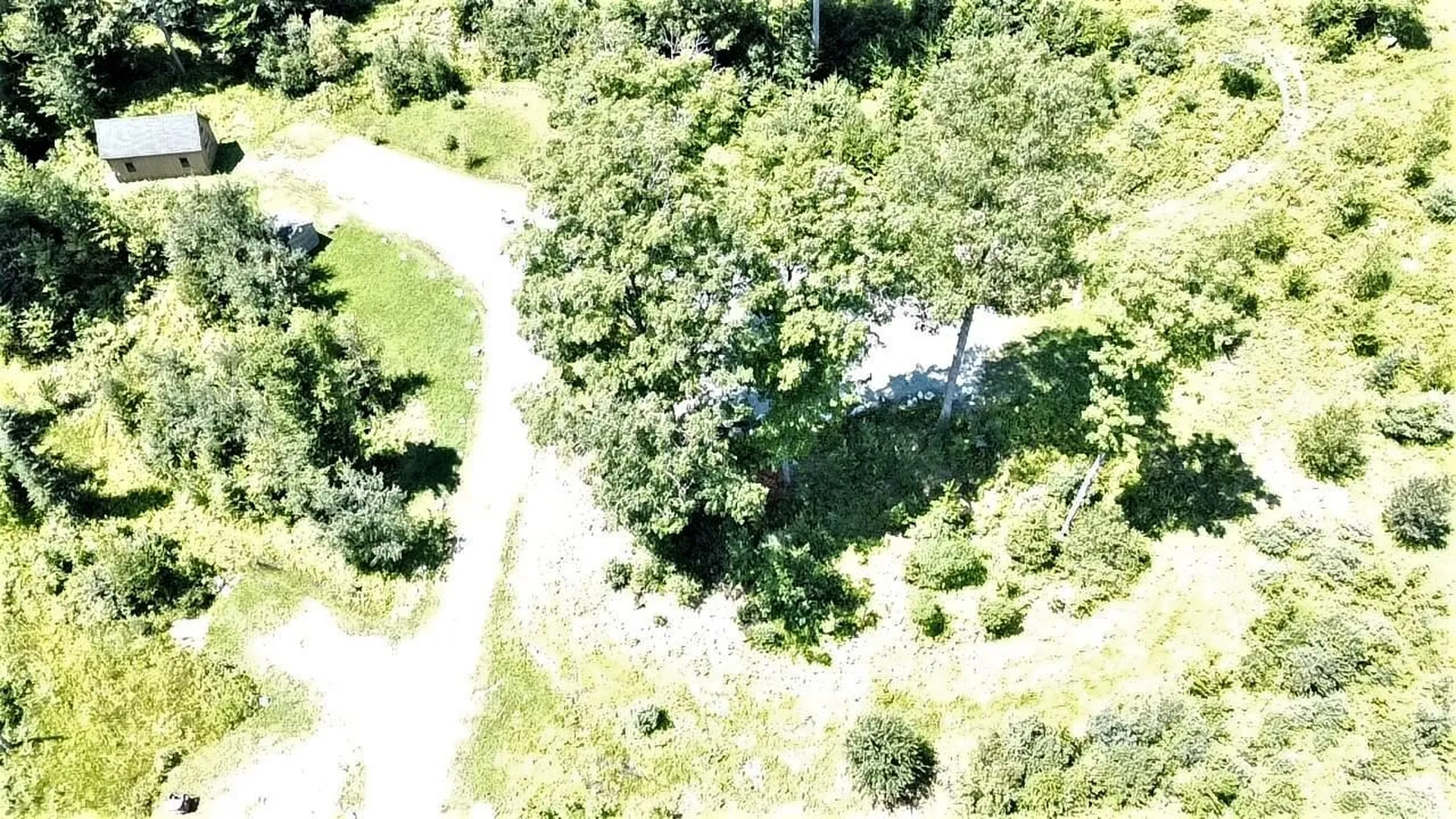 7813 Scotch Hollow Road Newbury VT 05051