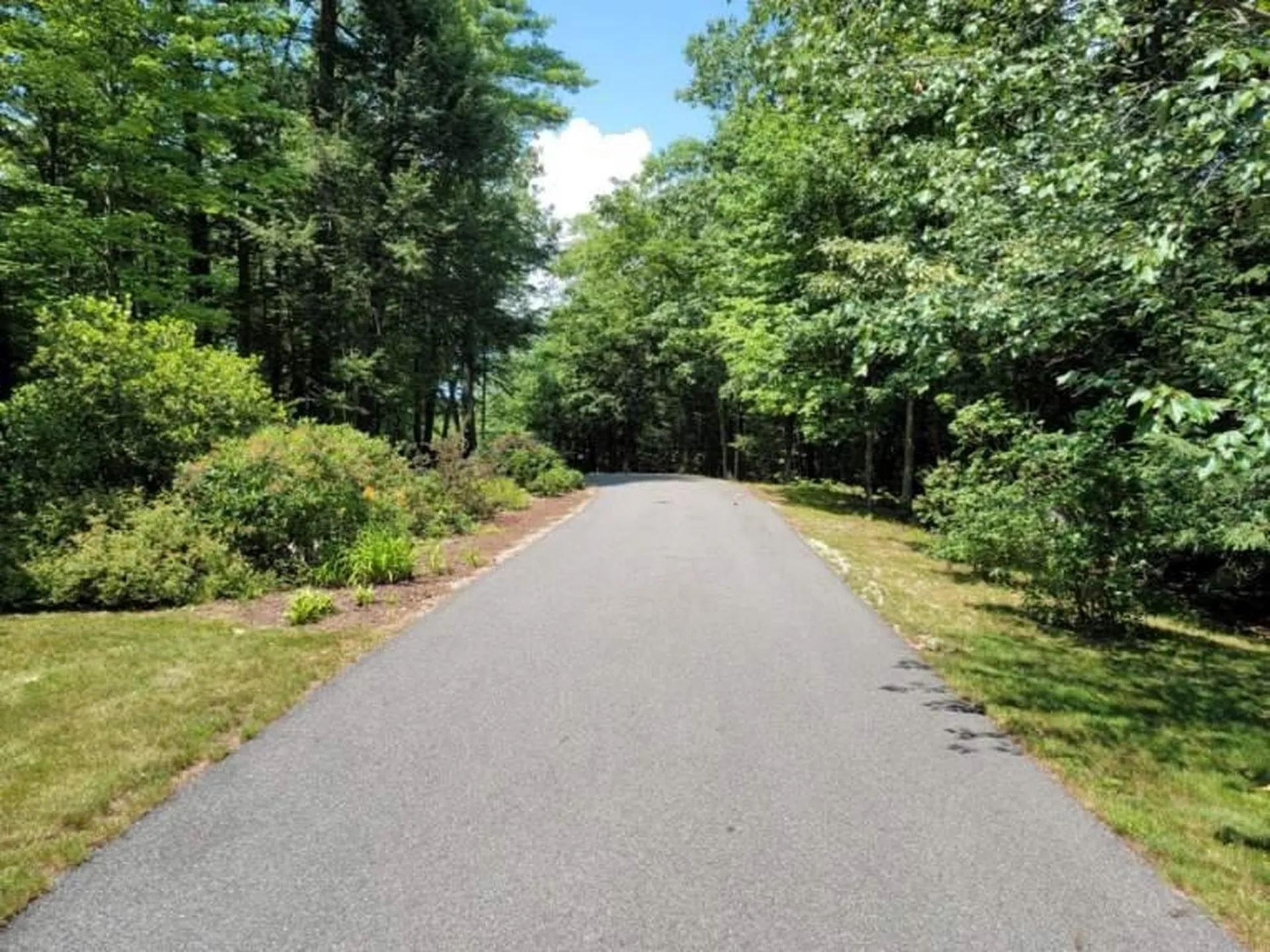 88 Coleman Road Auburn NH 03032